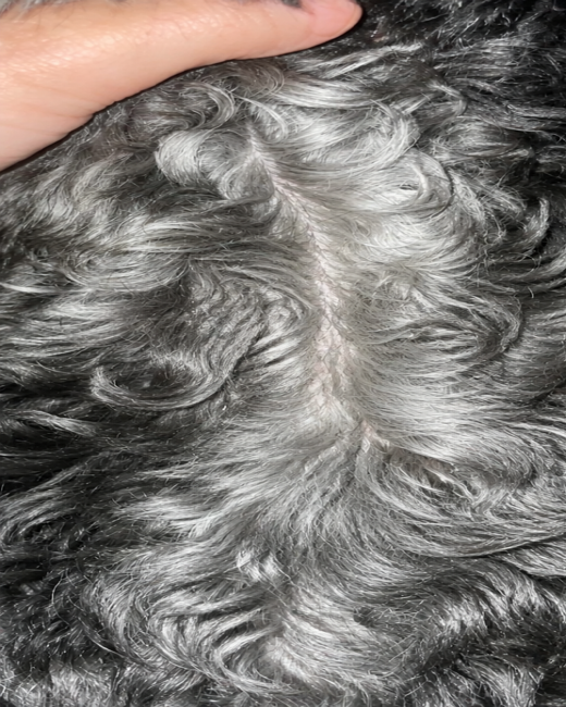 Dog after 90 days of QuietPaw