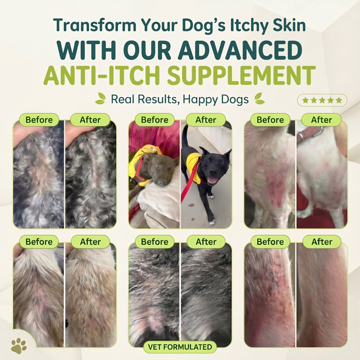 Transform your dog's itchy skin: real before and after results